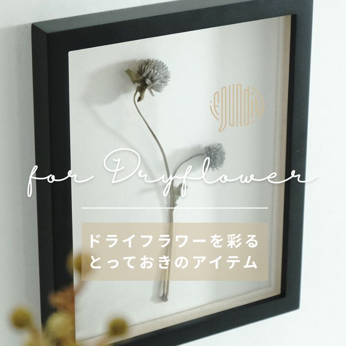 for Dryflower