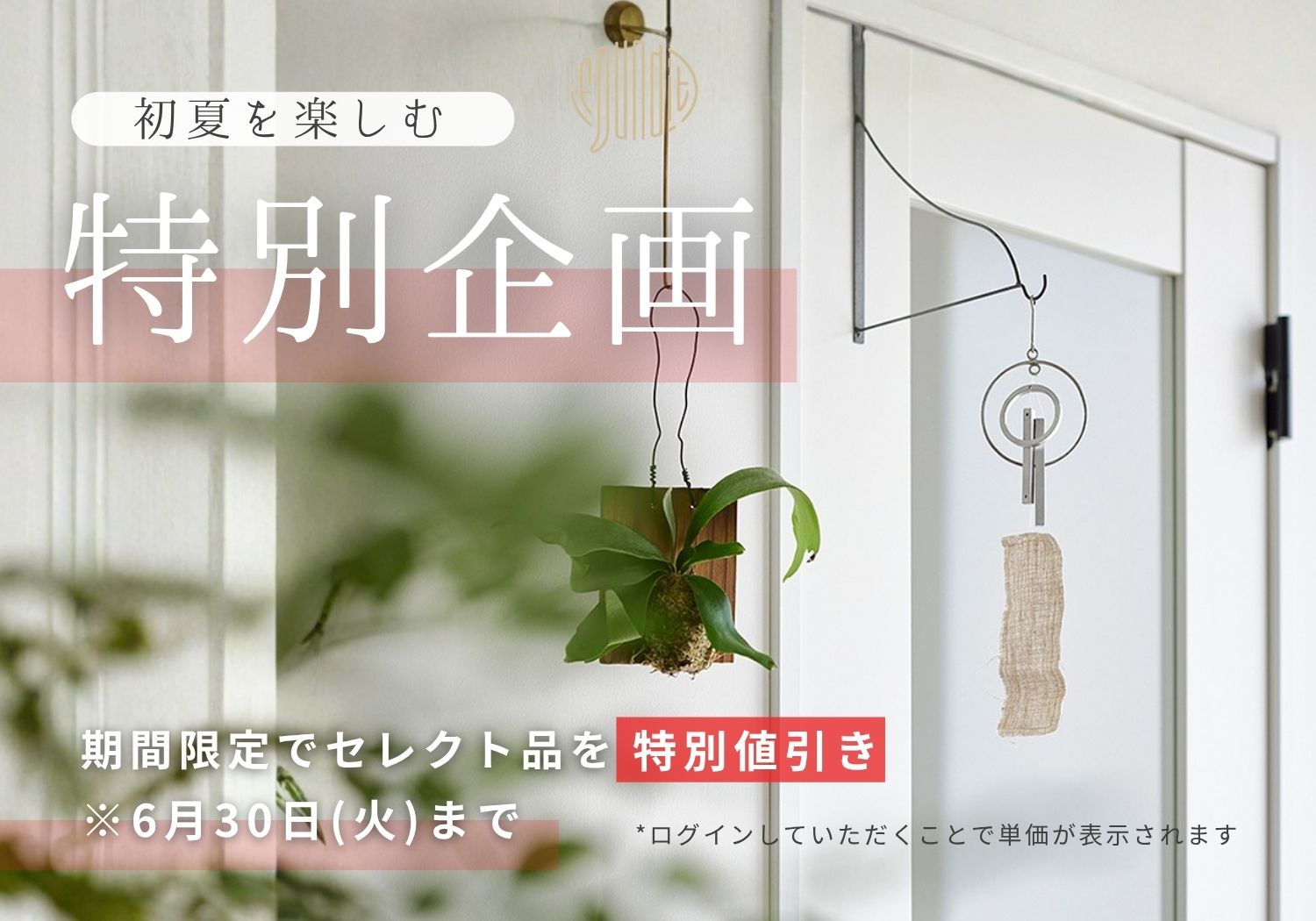 期間限定SALE